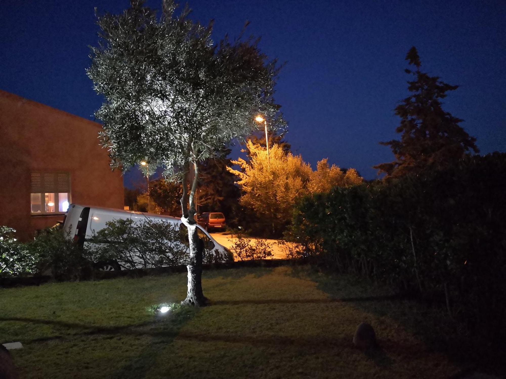 Bed and Breakfast A Lu Ponti Budoni Exterior foto